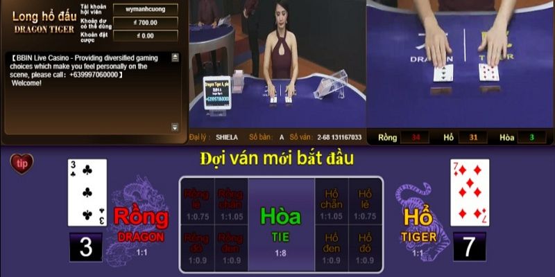Thuật ngữ có trong rồng hổ online tại sảnh casino